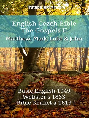 cover image of English Czech Bible--The Gospels II--Matthew, Mark, Luke and John